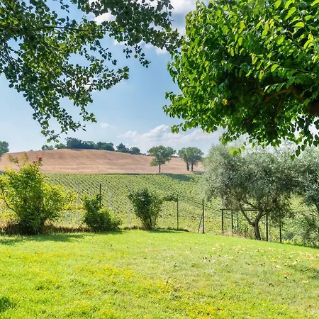 Verdicchio Appartement *