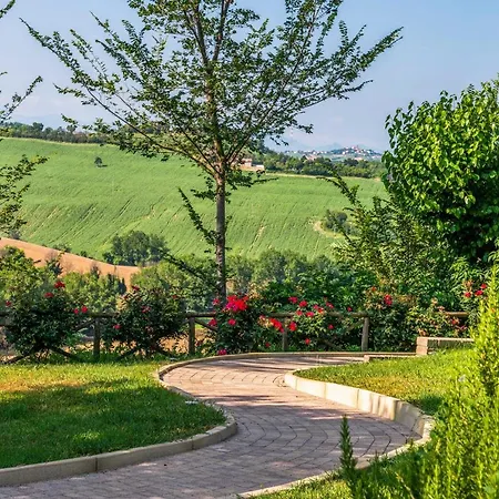 Verdicchio Morro dʼAlba